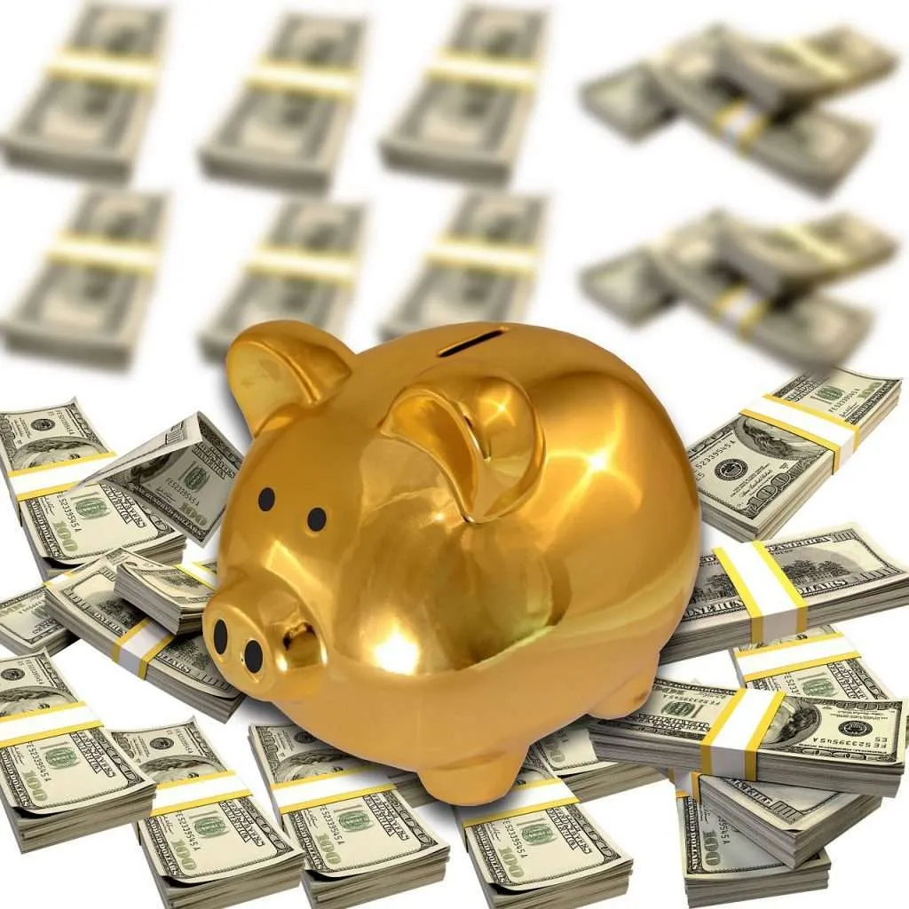 dollar, piggy bank, financial crisis-1398335.jpg