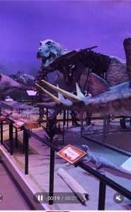 dinosaurs creation museum