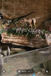 dinosaurs at the creation museum