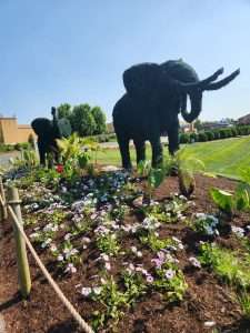 Elephant brush at the ark encounter