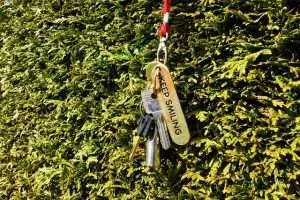 key, key chain, door