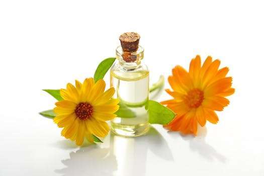 A glass bottle of aromatic oil with chamomile flowers on a white background.